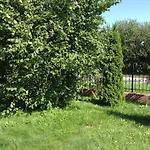 Дом отдыха Mit Garten *