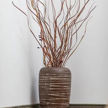 Mit Garten Vakantiehuis