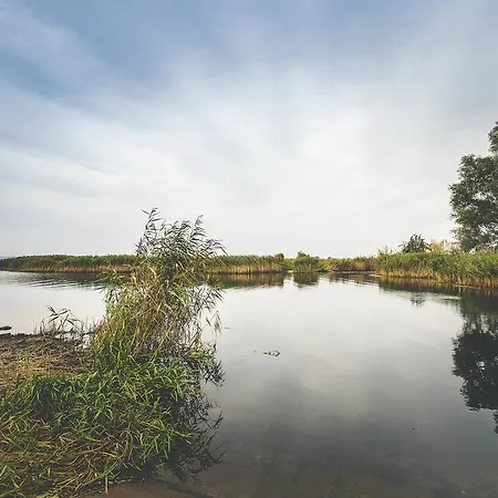 Mit Garten Szczecin