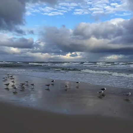 Mit Garten Prázdninový dům *