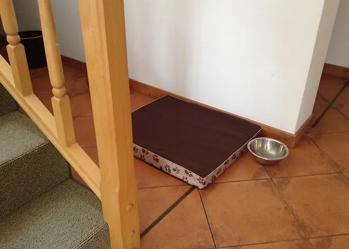 Mit Garten シュチェチン