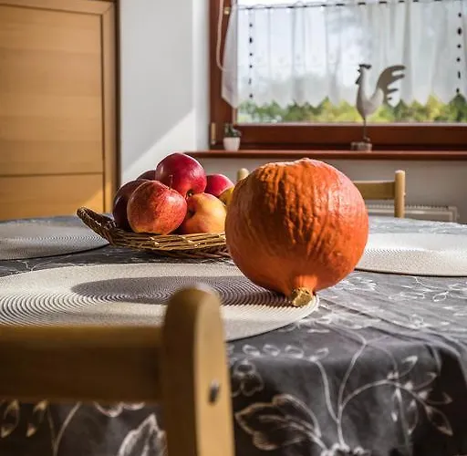 Mit Garten シュチェチン