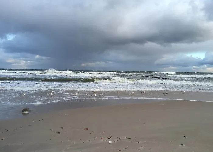 Mit Garten 別荘 シュチェチン